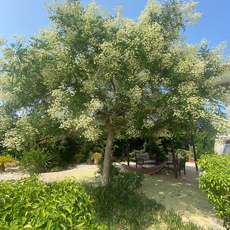 Casa Lusentum Villa Torrevieja Bagian luar foto