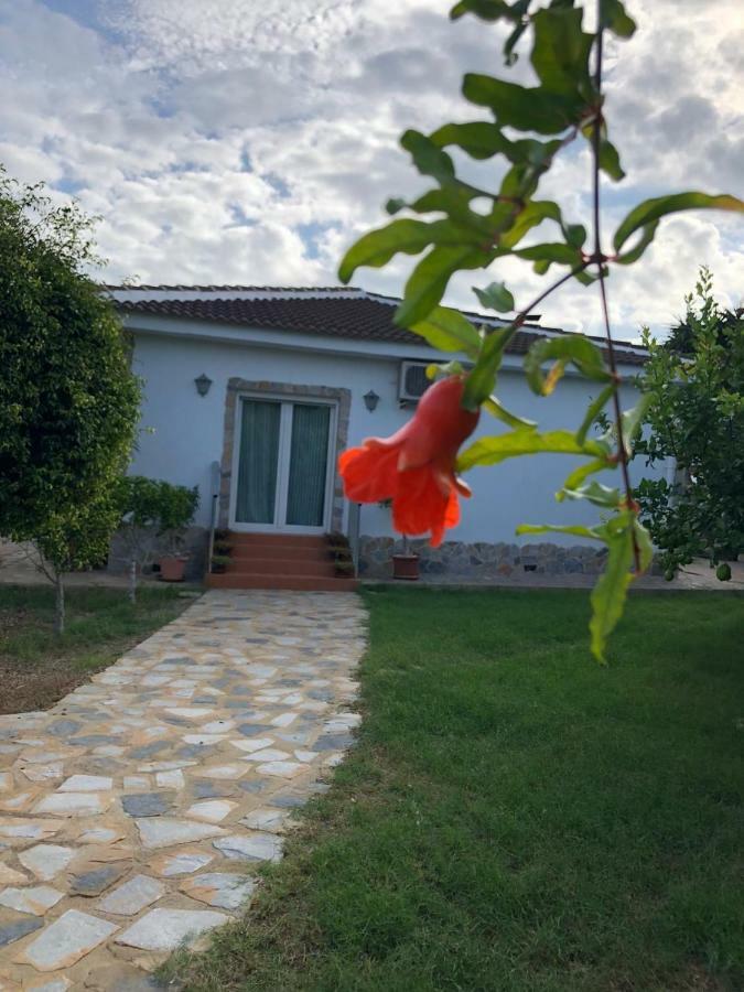 Casa Lusentum Villa Torrevieja Bagian luar foto